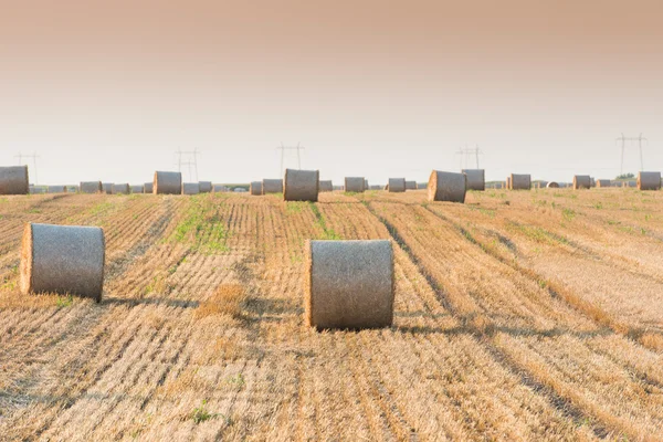 Field with straw bales — Stock Photo, Image