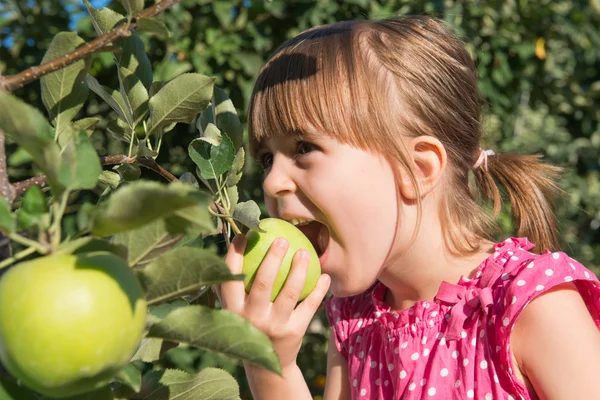 小さな女の子は、リンゴを食べる — ストック写真