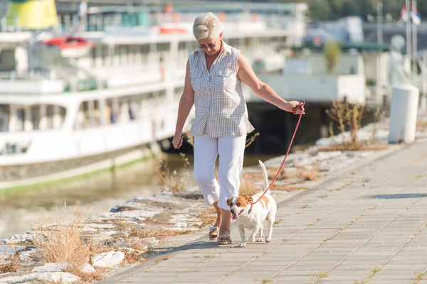 Senior vrouw en haar hond — Stockfoto