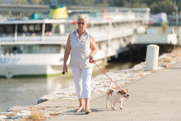 Senior vrouw en haar hond — Stockfoto