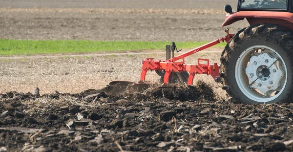 Tractor plowing field — Stock Photo, Image