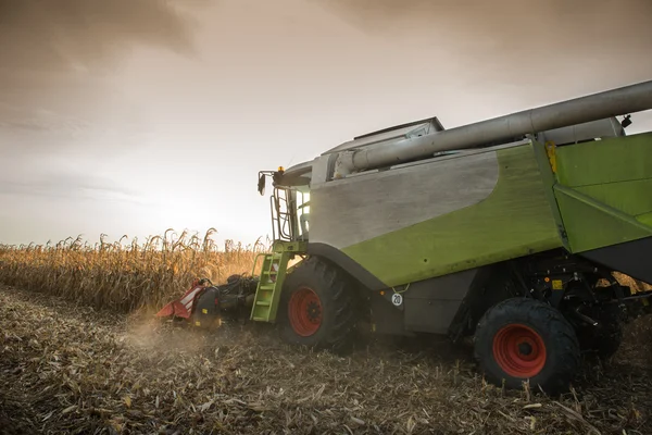 Combine harvesting corn — Stock Photo, Image