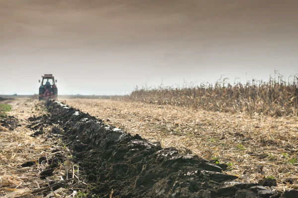 Traktor pflügt Feld um — Stockfoto