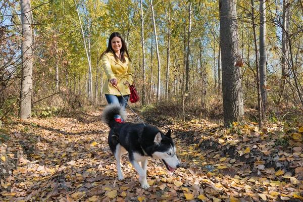 Jente med hund – stockfoto