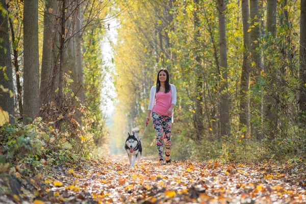 Meisje met haar hond — Stockfoto