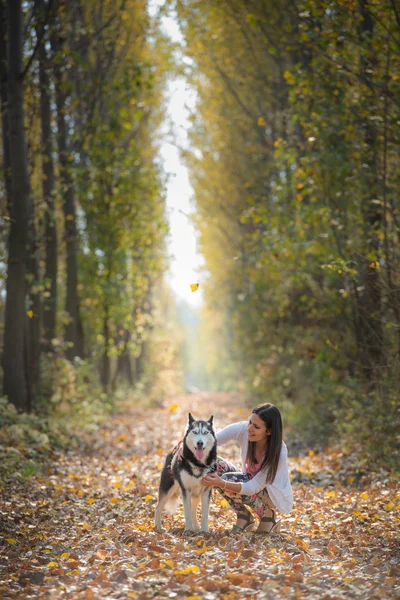 女孩和 herl 的狗 — 图库照片