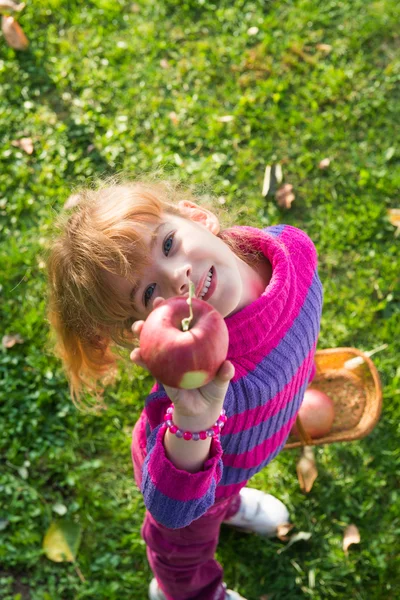 Little girl picked apples — Stock Photo, Image
