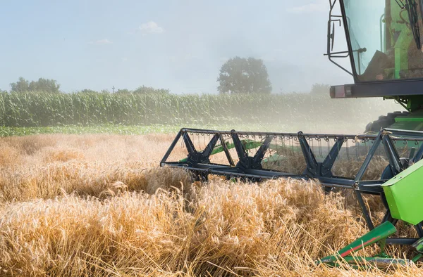 Raccoglitore di grano — Foto Stock