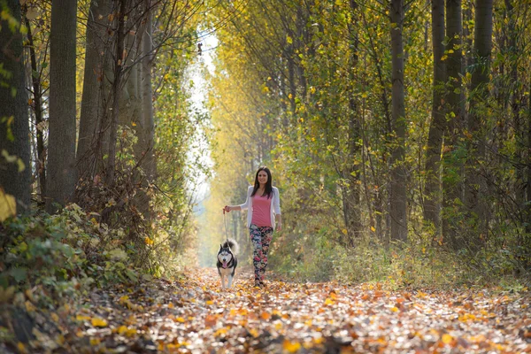 Girl with her dog — Stock Photo, Image