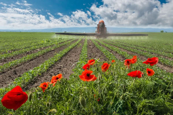 Traktör püskürtme soya — Stok fotoğraf