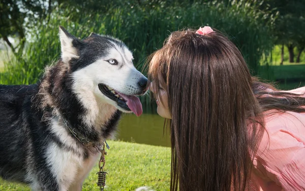 Menina e seu husky — Fotografia de Stock