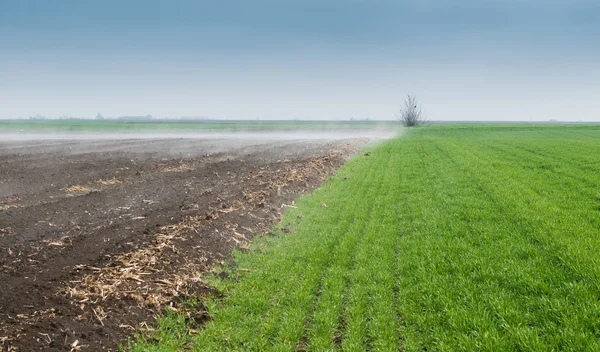 Plöjde fältet — Stockfoto