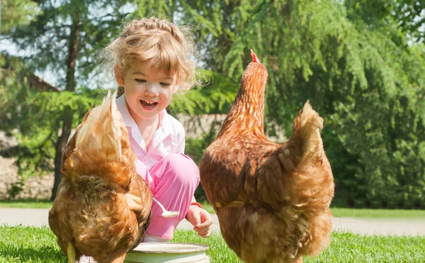 Girl feeding chickens — Stock Photo, Image