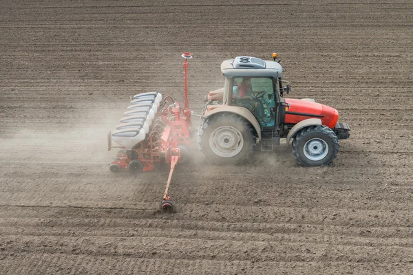 Wheat sowing — Stock Photo, Image