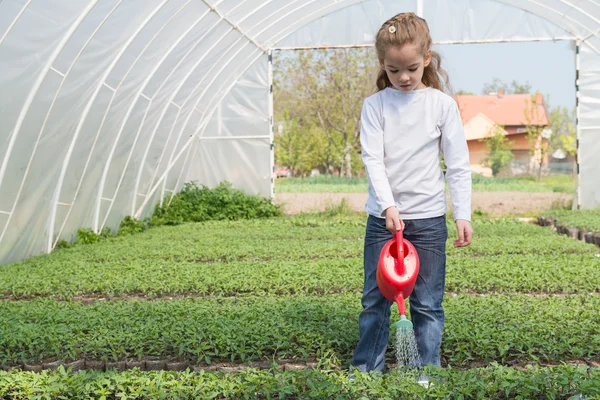 Little girl watering — Stock Photo, Image