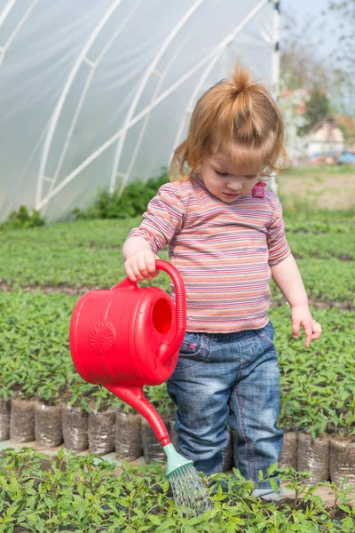 Little girl watering — Stock Photo, Image