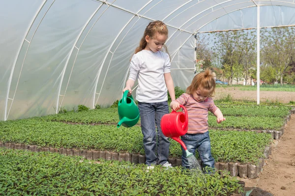 Little girls watering — Stock Photo, Image