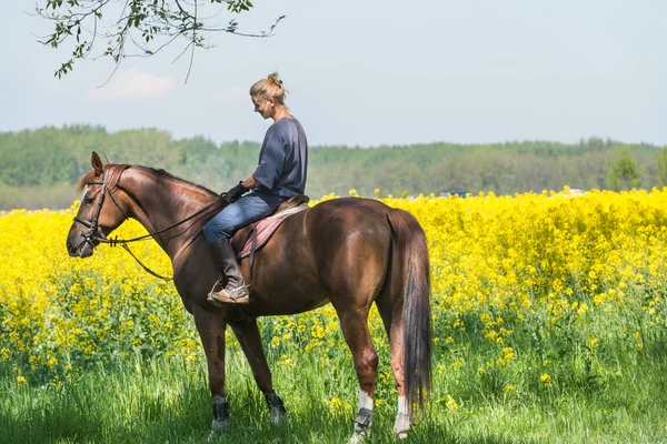 Girl on horseback riding — Stock Photo, Image