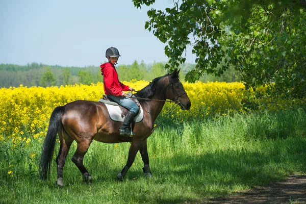 Chica en montar a caballo — Foto de Stock