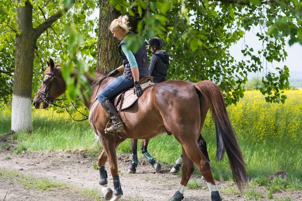 Meninas a cavalo equitação — Fotografia de Stock