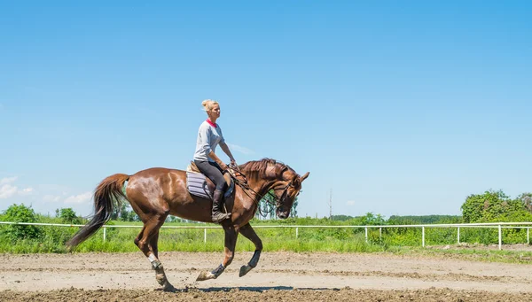 Fille monter un cheval — Photo