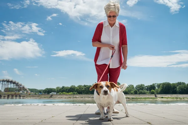 Seniorkvinne og hund – stockfoto