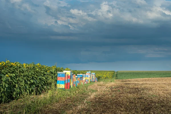 Beehives — Stock Photo, Image