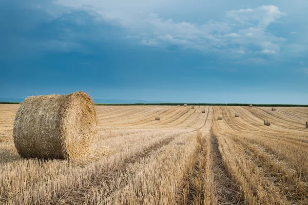 Straw bales — Stock Photo, Image