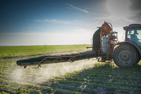 Traktor versprüht Pestizide — Stockfoto