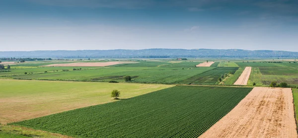 Landskap — Stockfoto