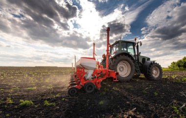 Traktör tohumu eken bir çiftçi. Tarım tarlasına ekin ekiyor. Bitkiler, buğday.
