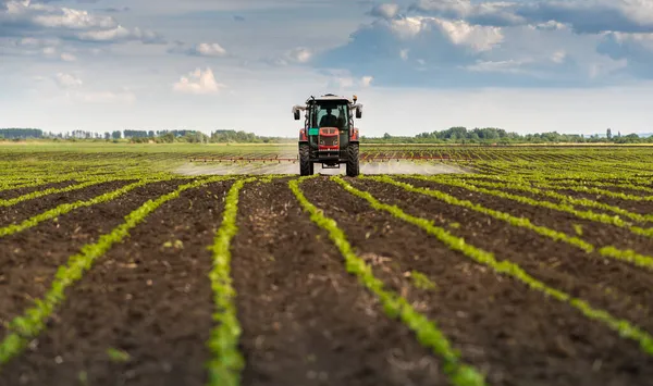 Trator Pulverizando Pesticidas Campo Soja Com Pulverizador Primavera — Fotografia de Stock