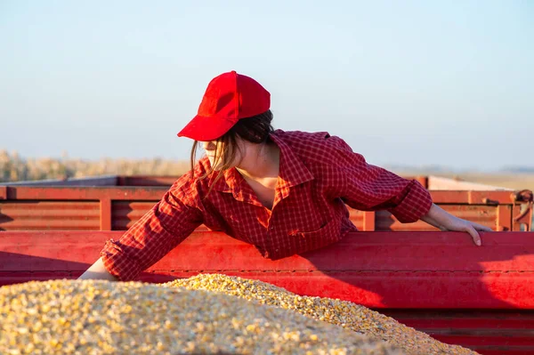 女农民在收获季节看谷物 — 图库照片