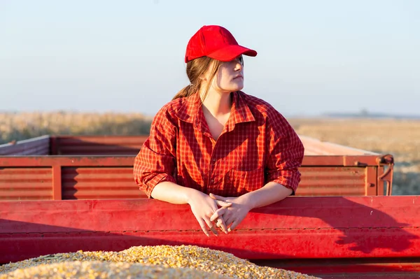 女农民在收获季节看谷物 — 图库照片