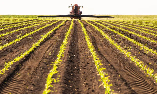 Traktor Versprüht Frühjahr Pestizide Auf Maisfeld Mit Sprüher — Stockfoto