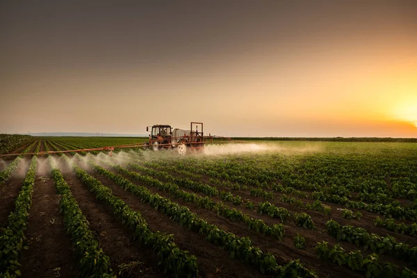Trator Pulverização Pesticidas Campo Vegetal Com Pulverizador Primavera — Fotografia de Stock