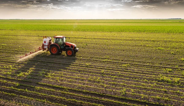 Tracteur Pulvérisation Pesticides Sur Champ Soja Avec Pulvérisateur Printemps — Photo