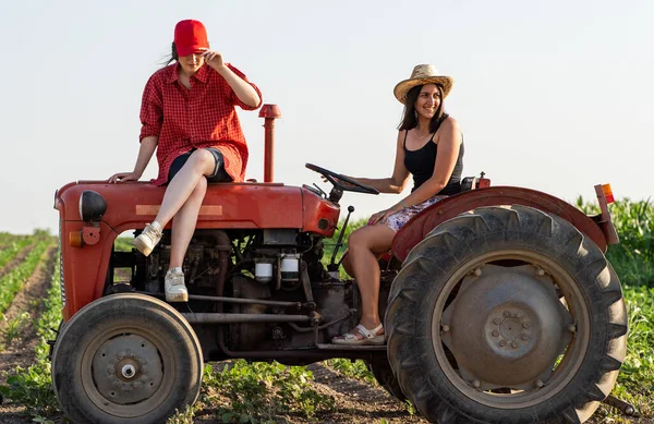 Two Attractive Female Farmers Driving Tractor Field — 图库照片