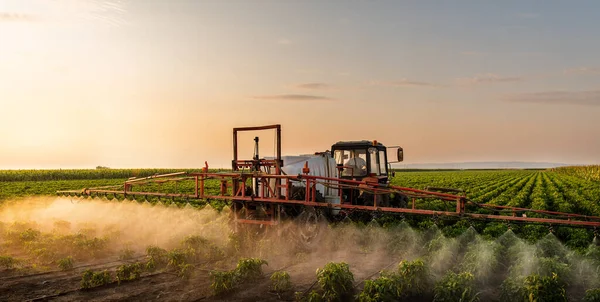 Tractor Pulverización Pesticidas Campo Vegetal Con Pulverizador Primavera — Foto de Stock