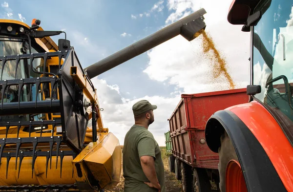 Spannmål Auger Kombinera Hälla Sojaböna Traktor Släpvagn — Stockfoto