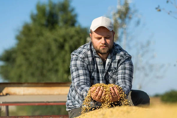 Landwirt Mit Sojakorn Der Hand Traktoranhänger Nach Unfall — Stockfoto