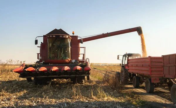 玉米联合倒入拖拉机拖车的粮机 — 图库照片