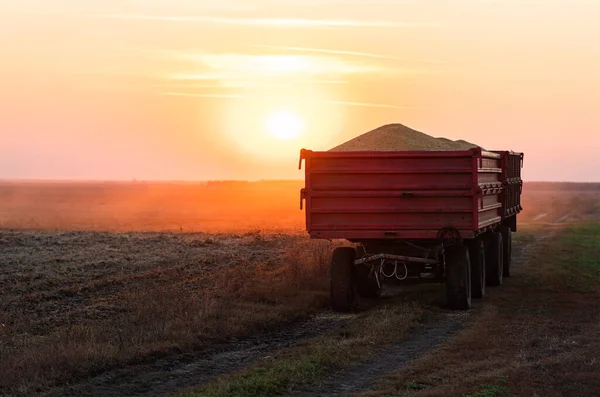 Rimorchio Camion Pieno Soia Tramonto — Foto Stock