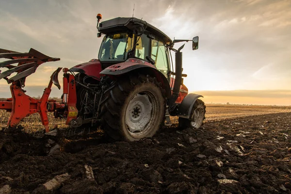 Traktor Pflügt Abends Bei Sonnenuntergang Das Feld — Stockfoto