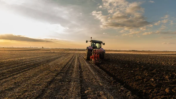 Traktor Orá Pole Večer Při Západu Slunce — Stock fotografie