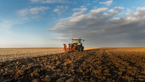 Traktor Plogar Fältet Kvällen Vid Solnedgången — Stockfoto