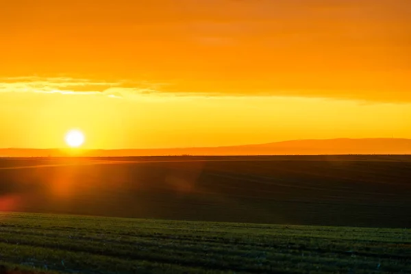 Schöne Morgenlandschaft Des Sonnenuntergangs Über Jungen Grünen Getreidefeld — Stockfoto