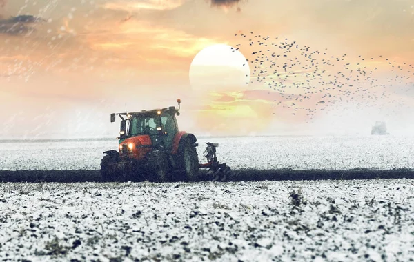 トラクターは春に雪に覆われた農地を耕す — ストック写真