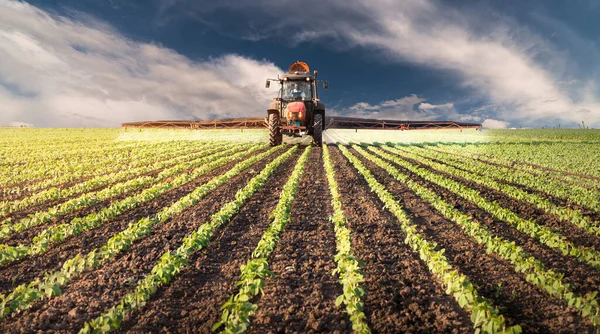 春には散布機で大豆畑に農薬を散布するトラクター — ストック写真