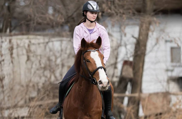 Joven Chica Bonita Montando Caballo —  Fotos de Stock